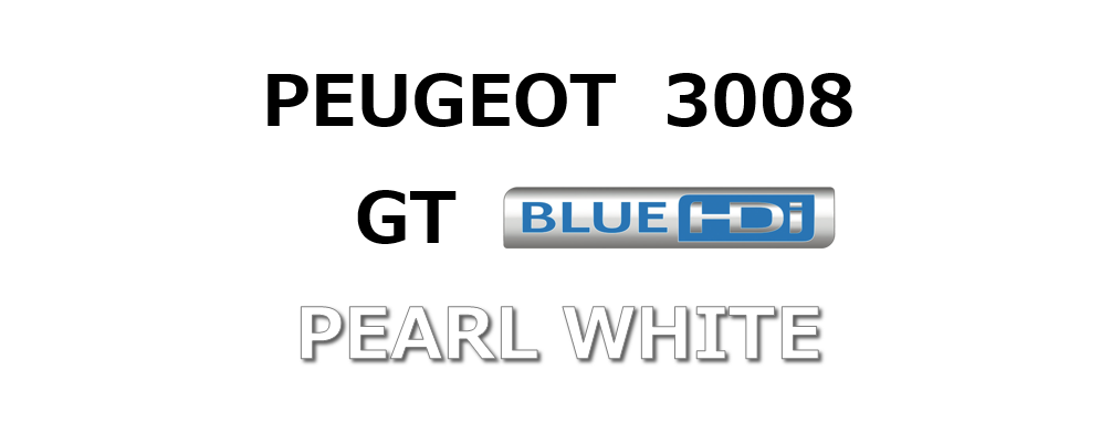 3008 GT BlueHDi ご納車♪♪