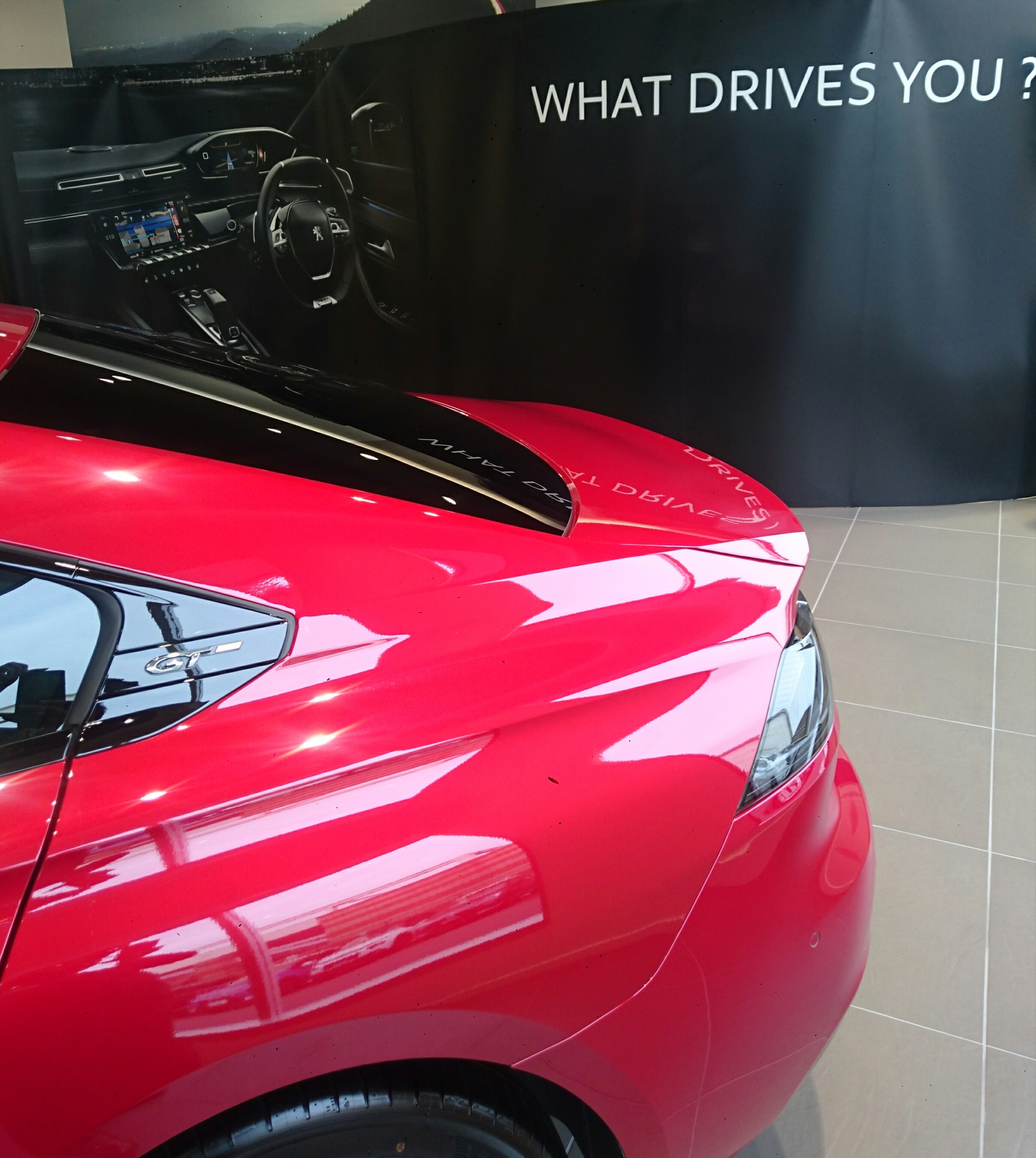 WHAT DRIVES YOU？ New PEUGEOT 508 ROAD SHOW