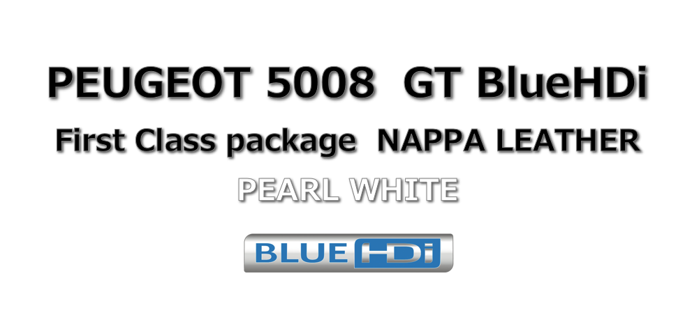 5008 GT BlueHDi FirstClass Package NAPPA LEATHER (長い...) 納車♪♪