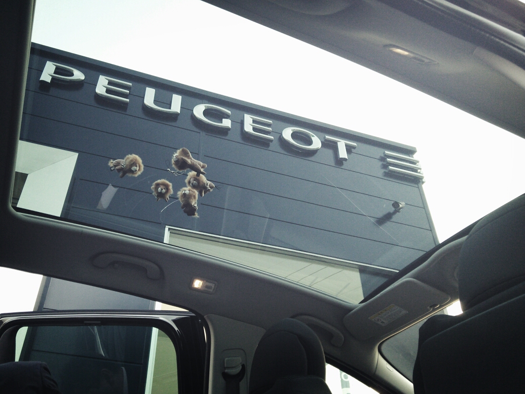 この夏は5008で・・・