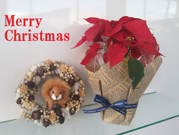 クリスマスモードです☆