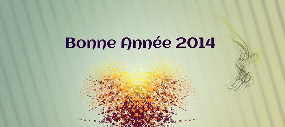 Bonne Année 2014 !! 