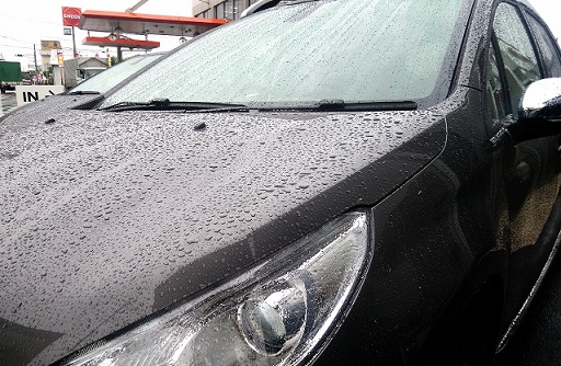 梅雨入りしましたね・・