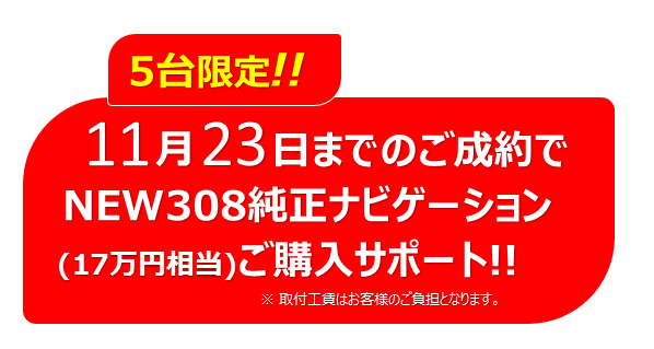 ＮＥＷ３０８デビューフェア