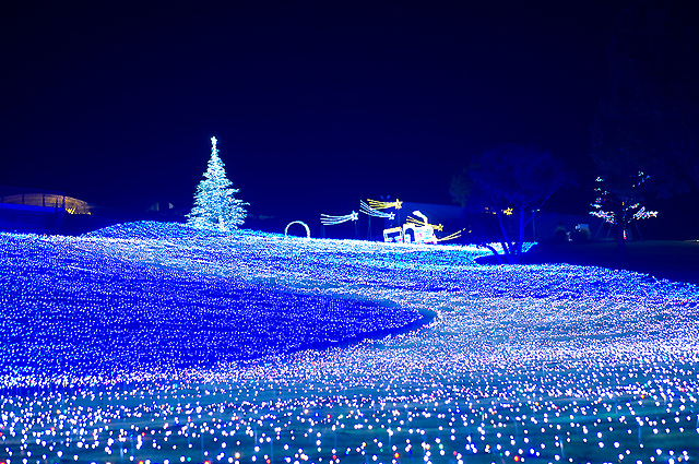 ご愛車のプショーでドライブ♪