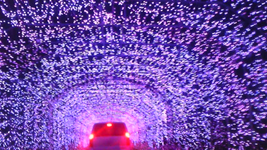 ご愛車のプショーでドライブ♪