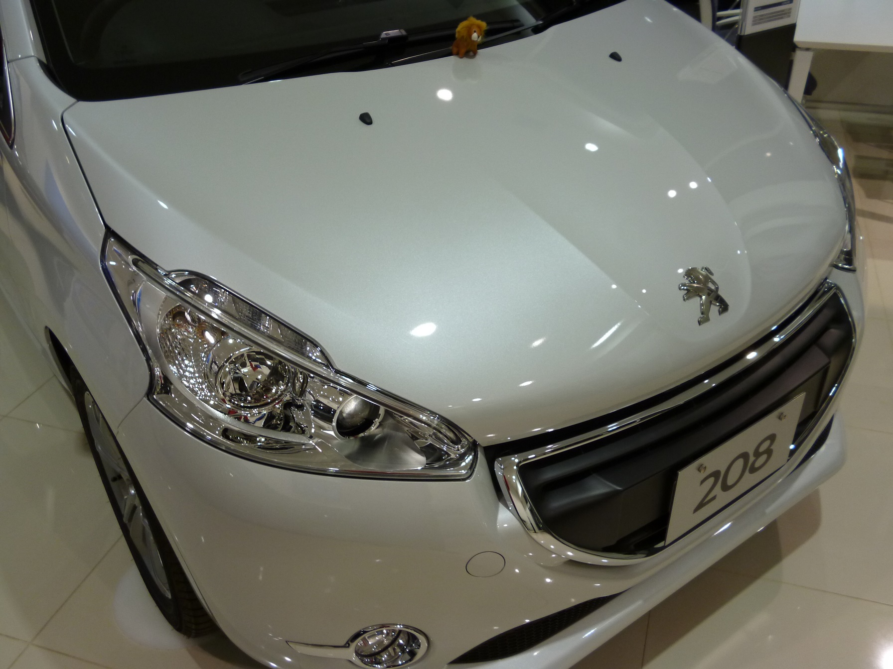 ♪ NEW FACE 登場 ♪