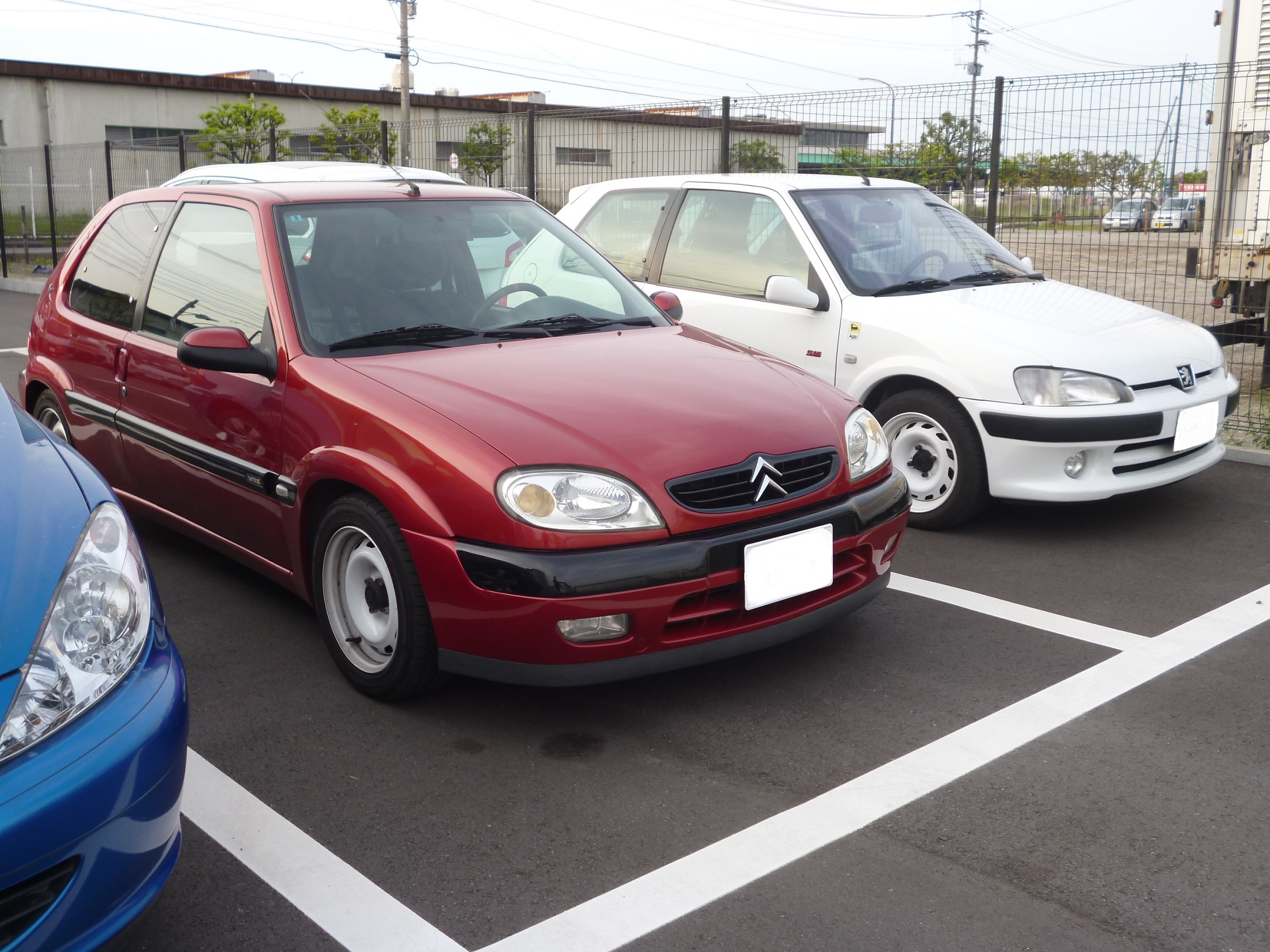 たまたまなんですが