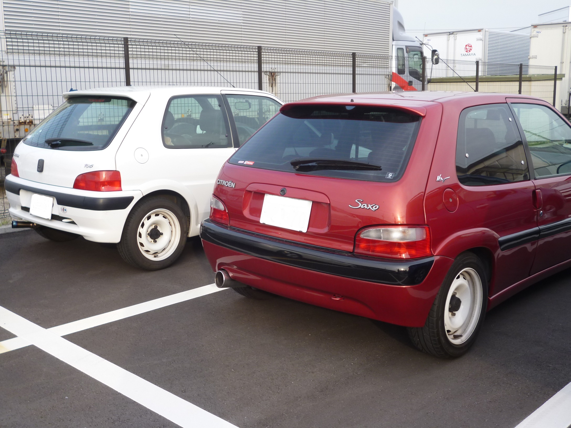 たまたまなんですが