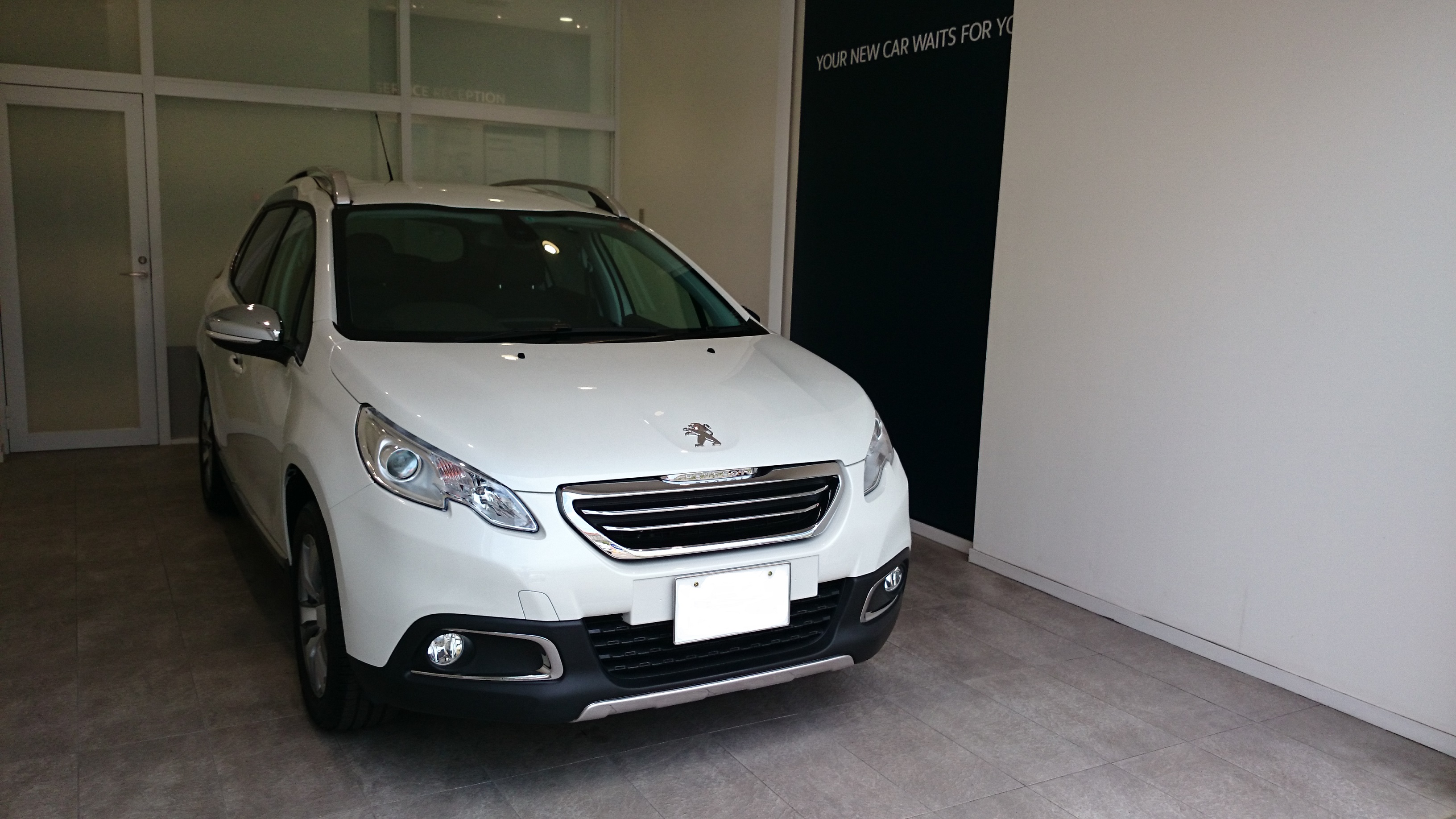 PEARL WHITE × SHADOW MISTRAL ご納車♪♪