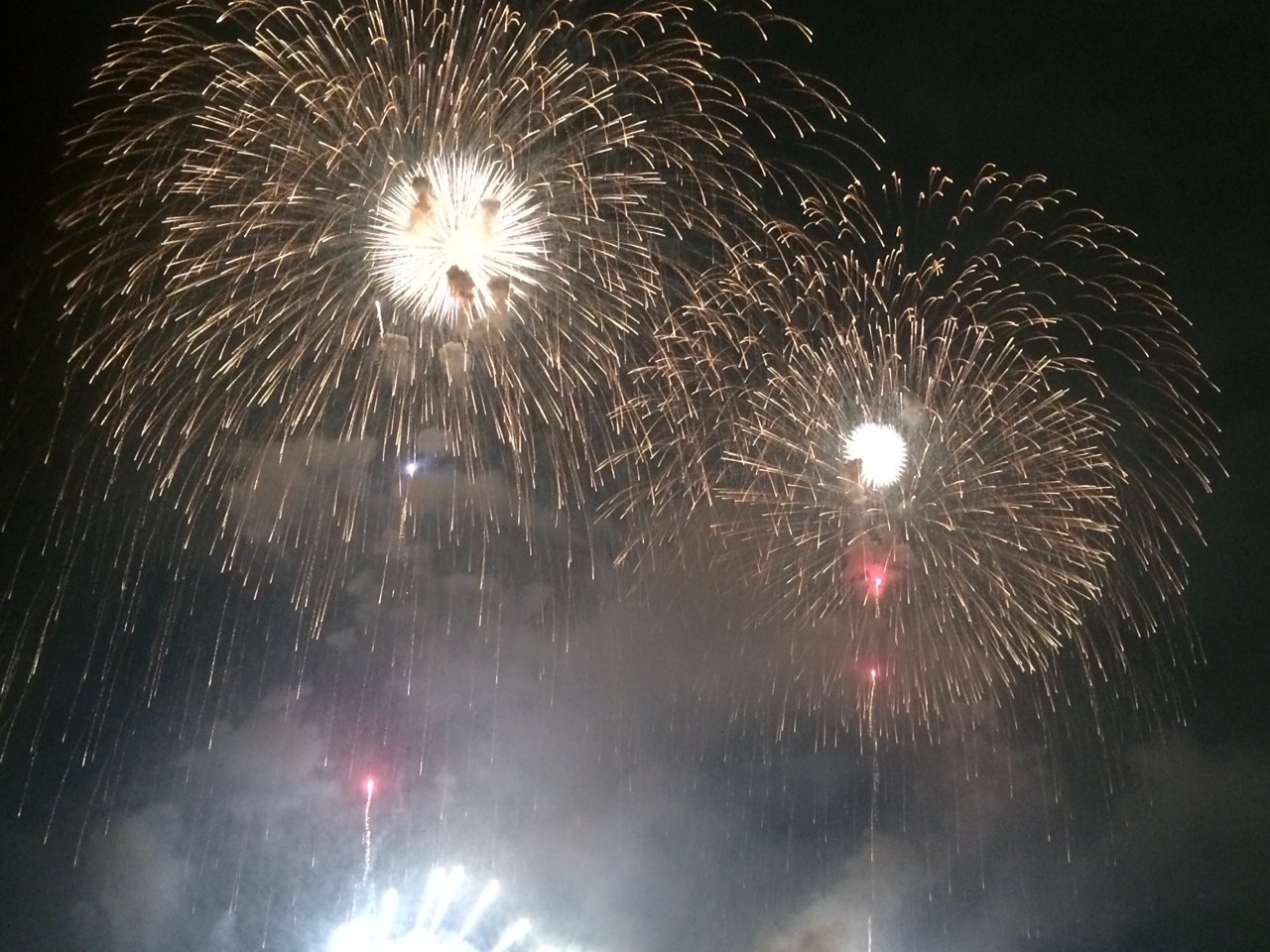 夏の風物詩♪♪