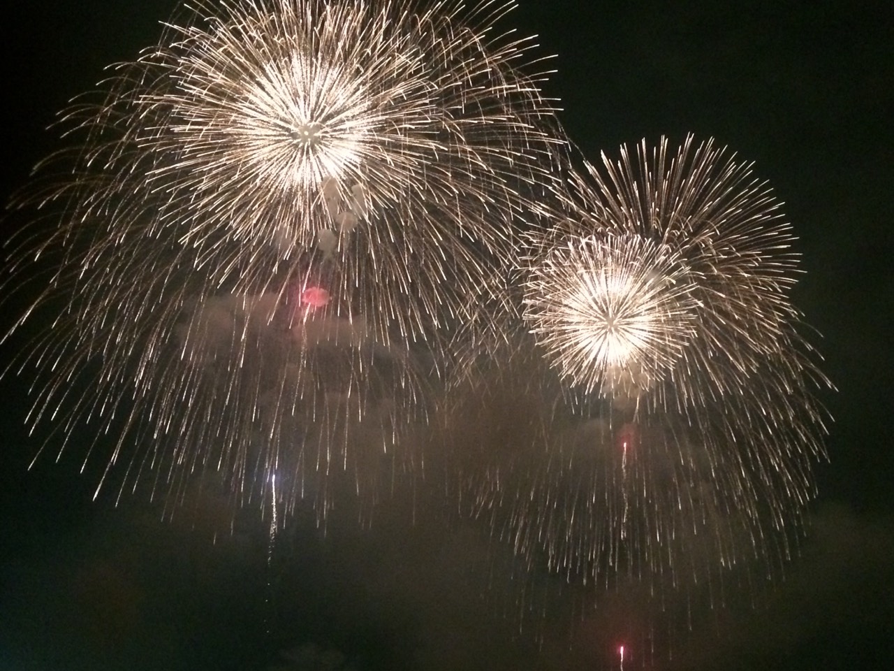 夏の風物詩♪♪