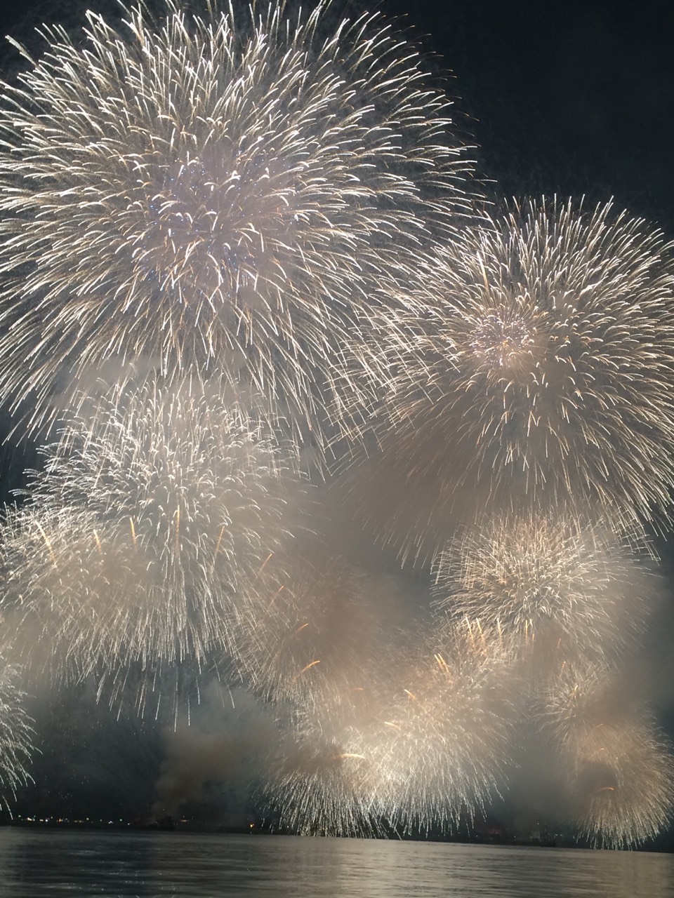 夏の風物詩♪♪