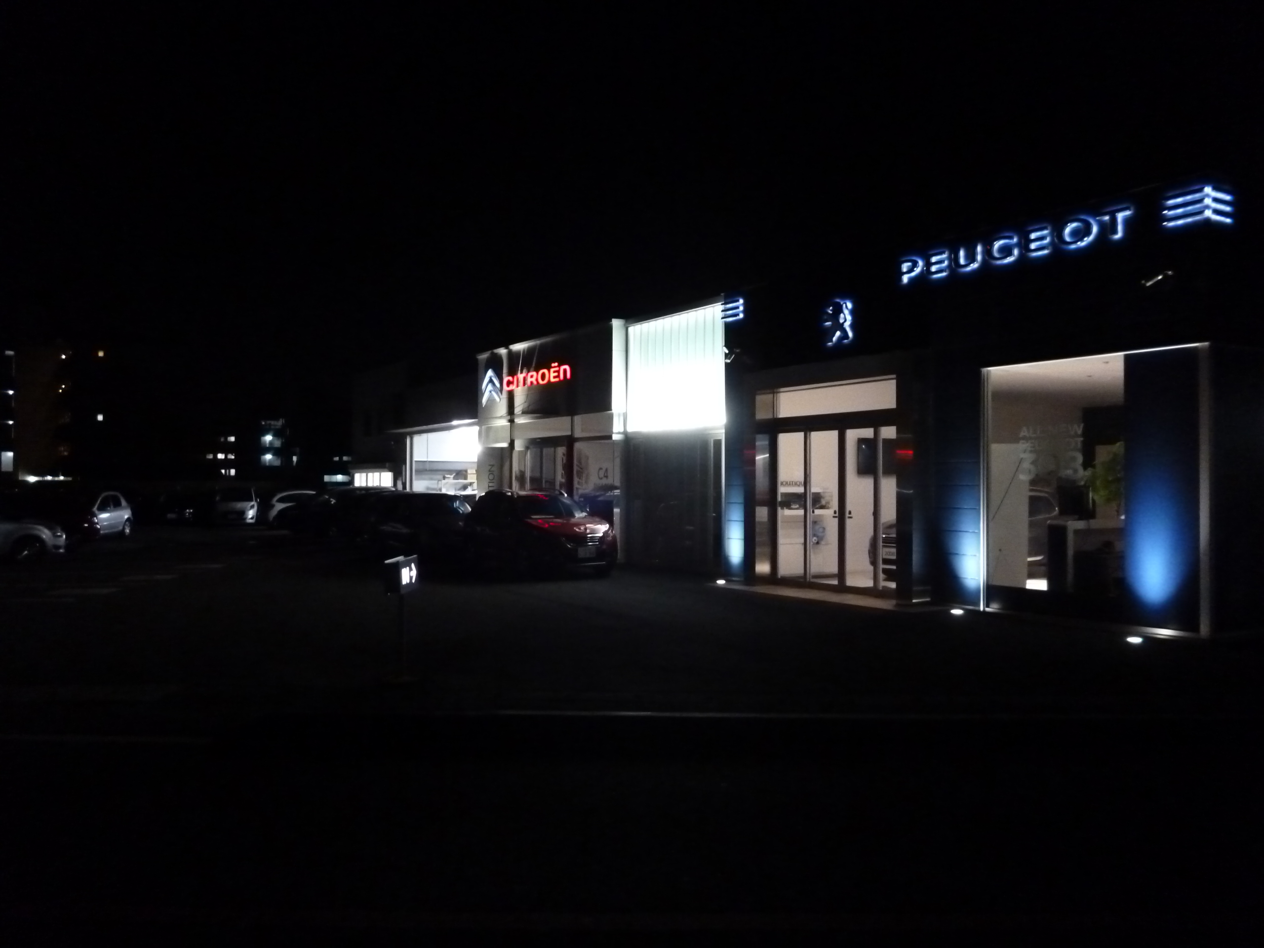 週末イベントに向けまして =^エ^=