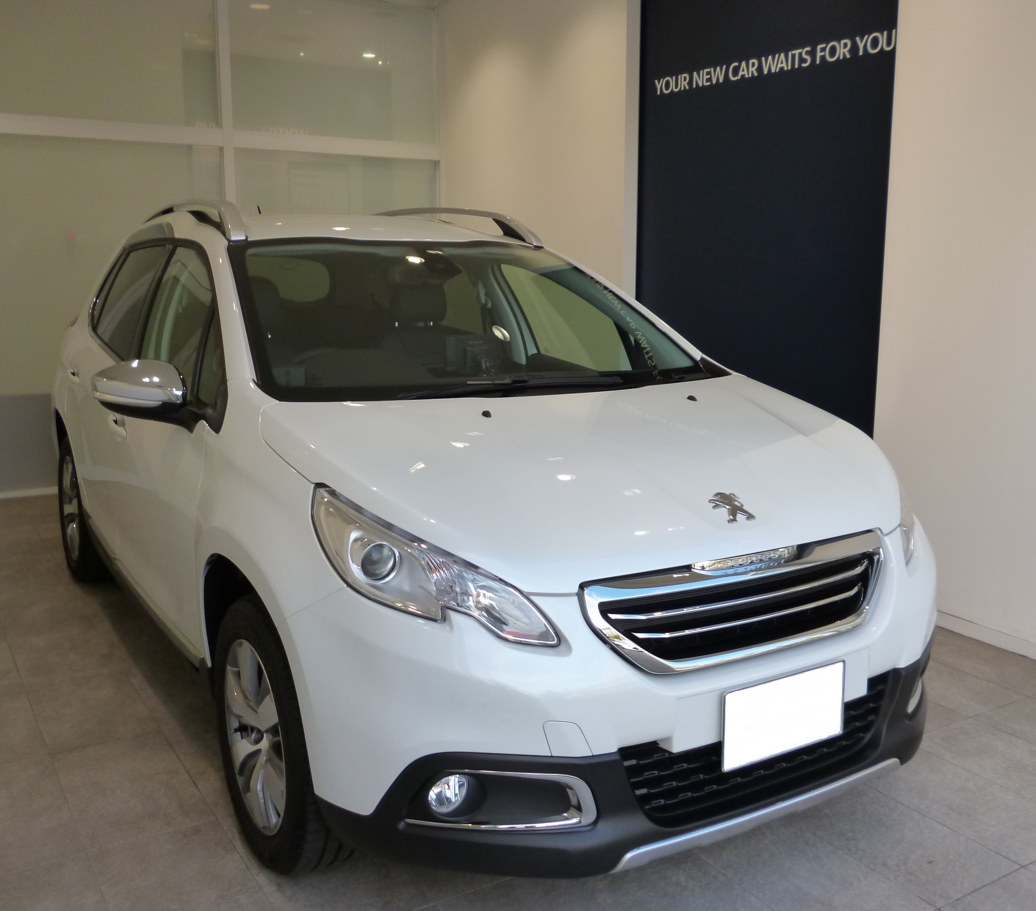 【Limited 300 Units】 LEATHER EDITION♪♪