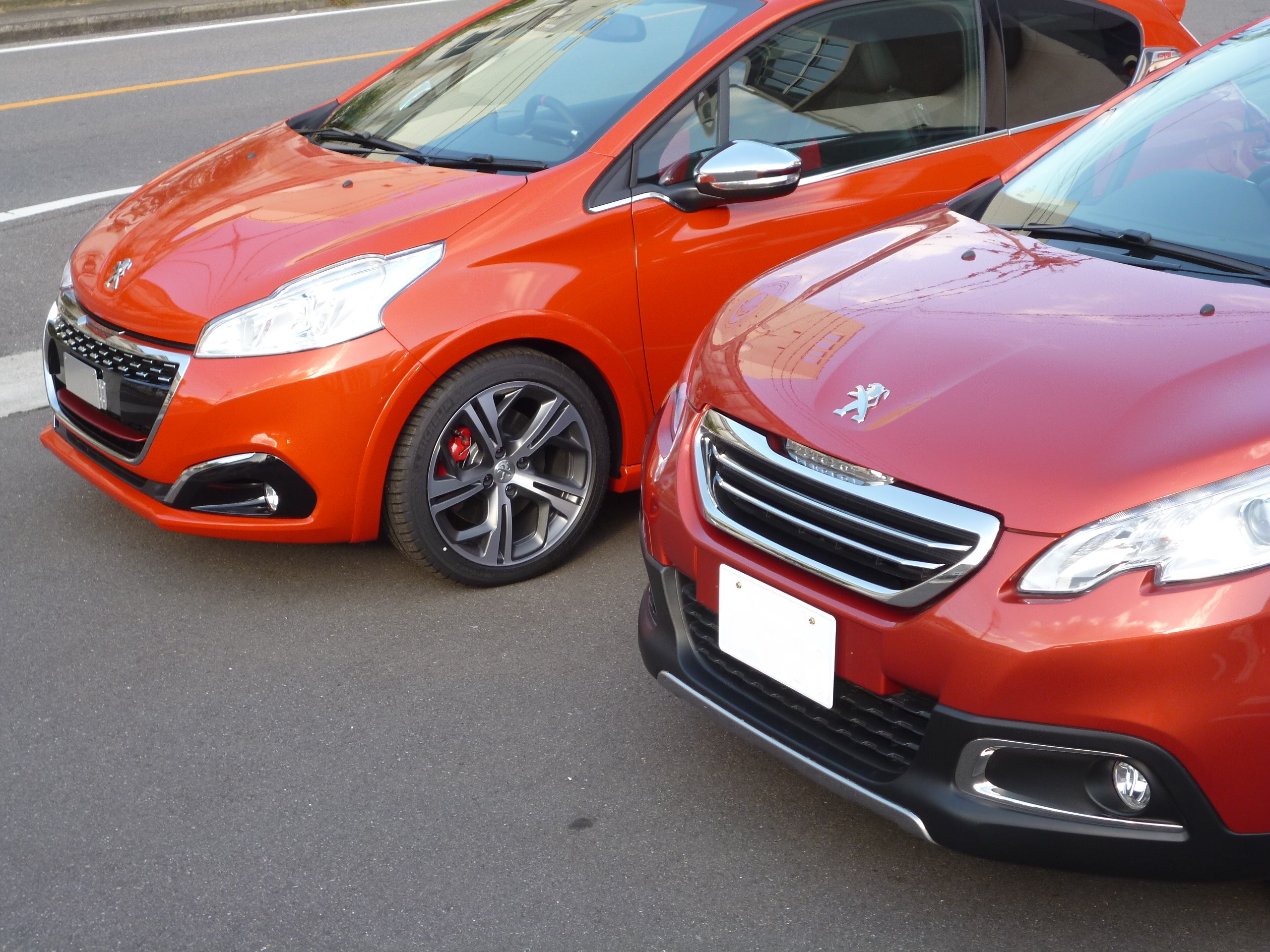 さて、いかがでしょうか？　オレンジ・パワー♪♪