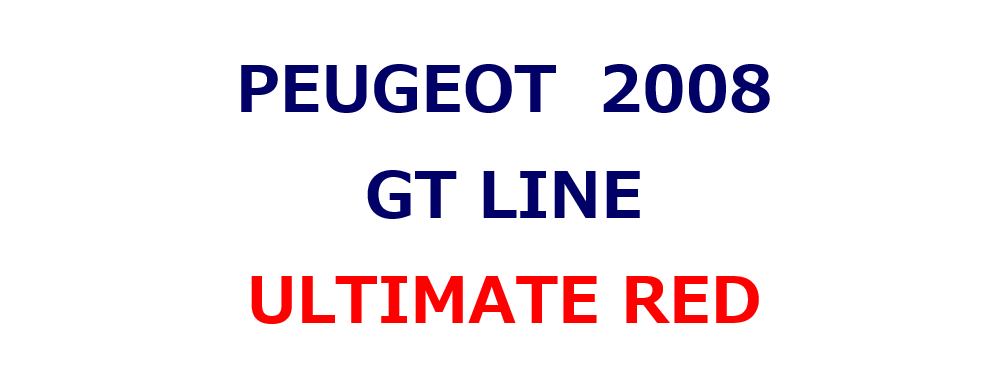 2008 GT LINE ご納車させて頂きました♪