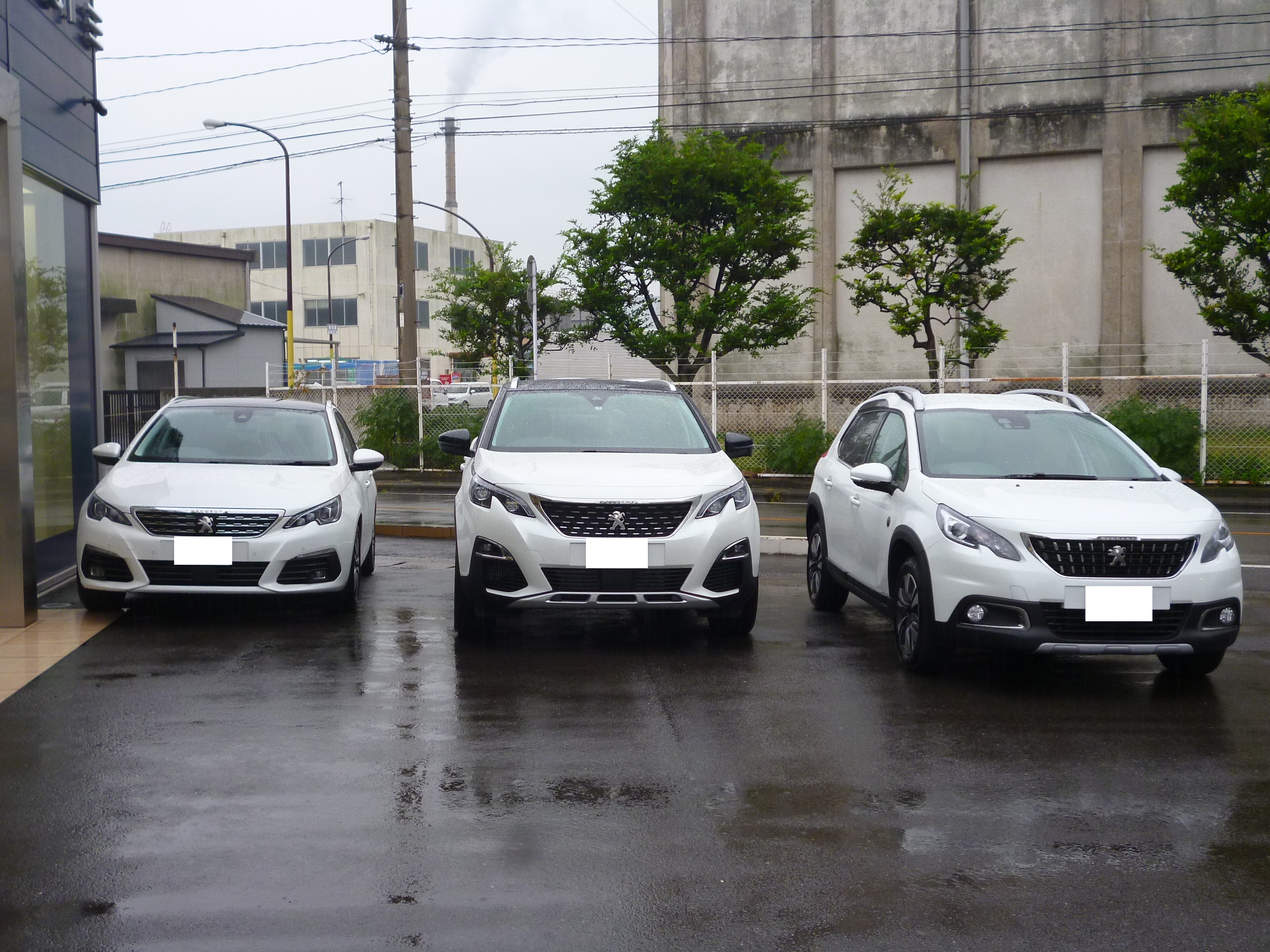 揃うております、試乗車・展示車たち。
