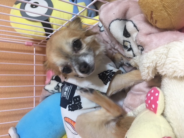 ケーキ♪