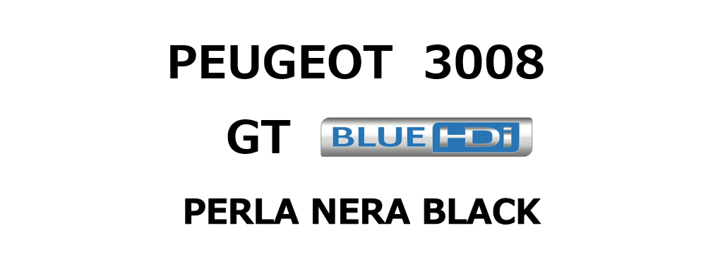 切れ味最高♪ 3008 GT BlueHDi ご納車♪♪