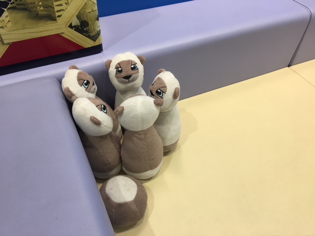 プジョーライオンとかくれんぼ。
