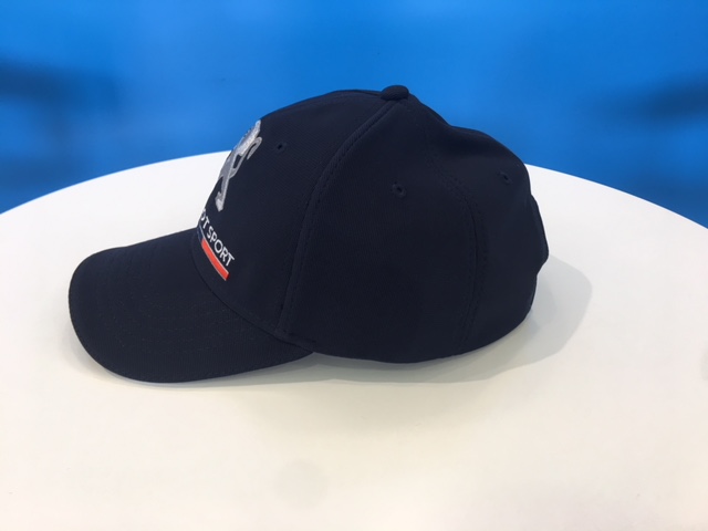 ライオンキャップ　再入荷♪