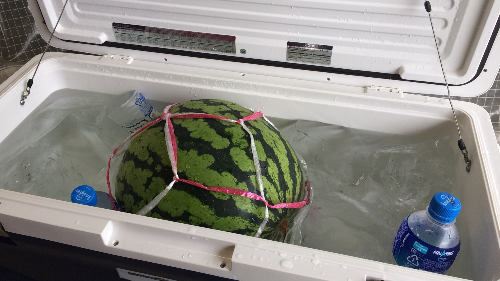 あす・あさっては定休日