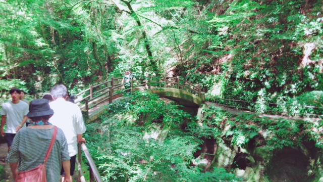 宮崎にGO♡