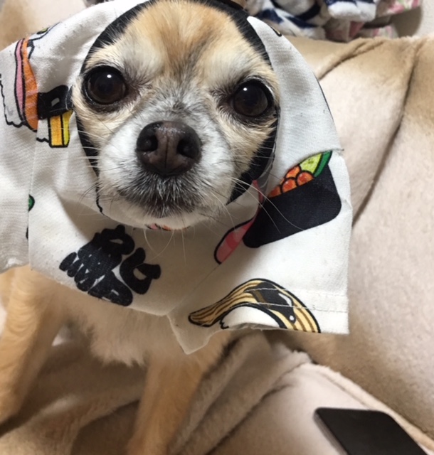 我が家のライオン