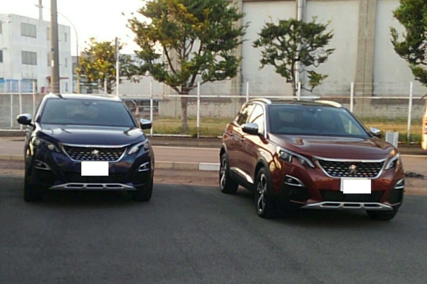 週末のご来場ありがとうございました。