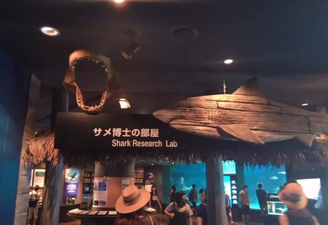 南国女子旅☆彡パート2