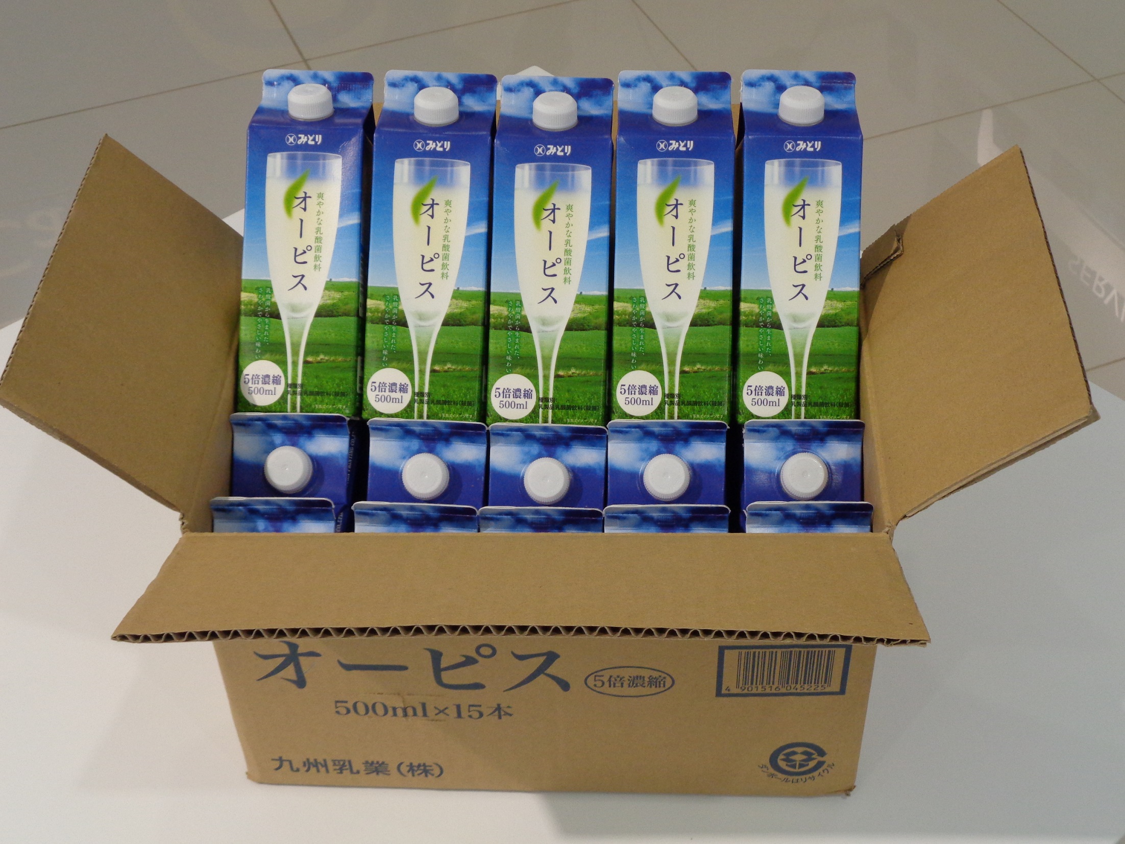 この夏、コレで乗り切る（15日分）