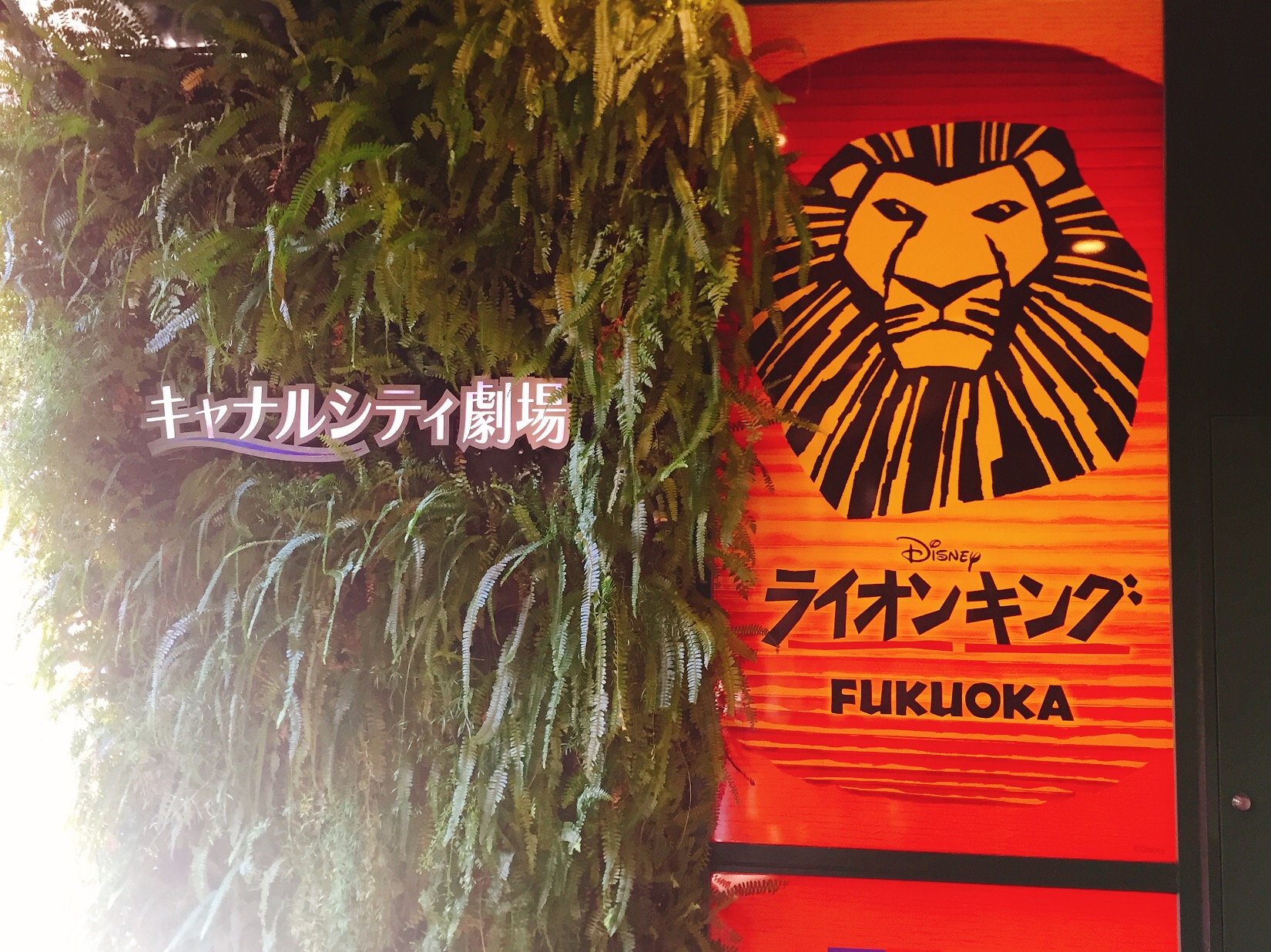ライオンキングミュージカル💓