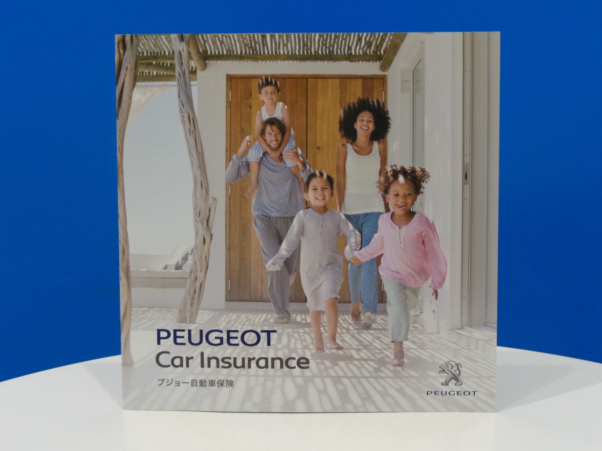 自動車保険の勉強会