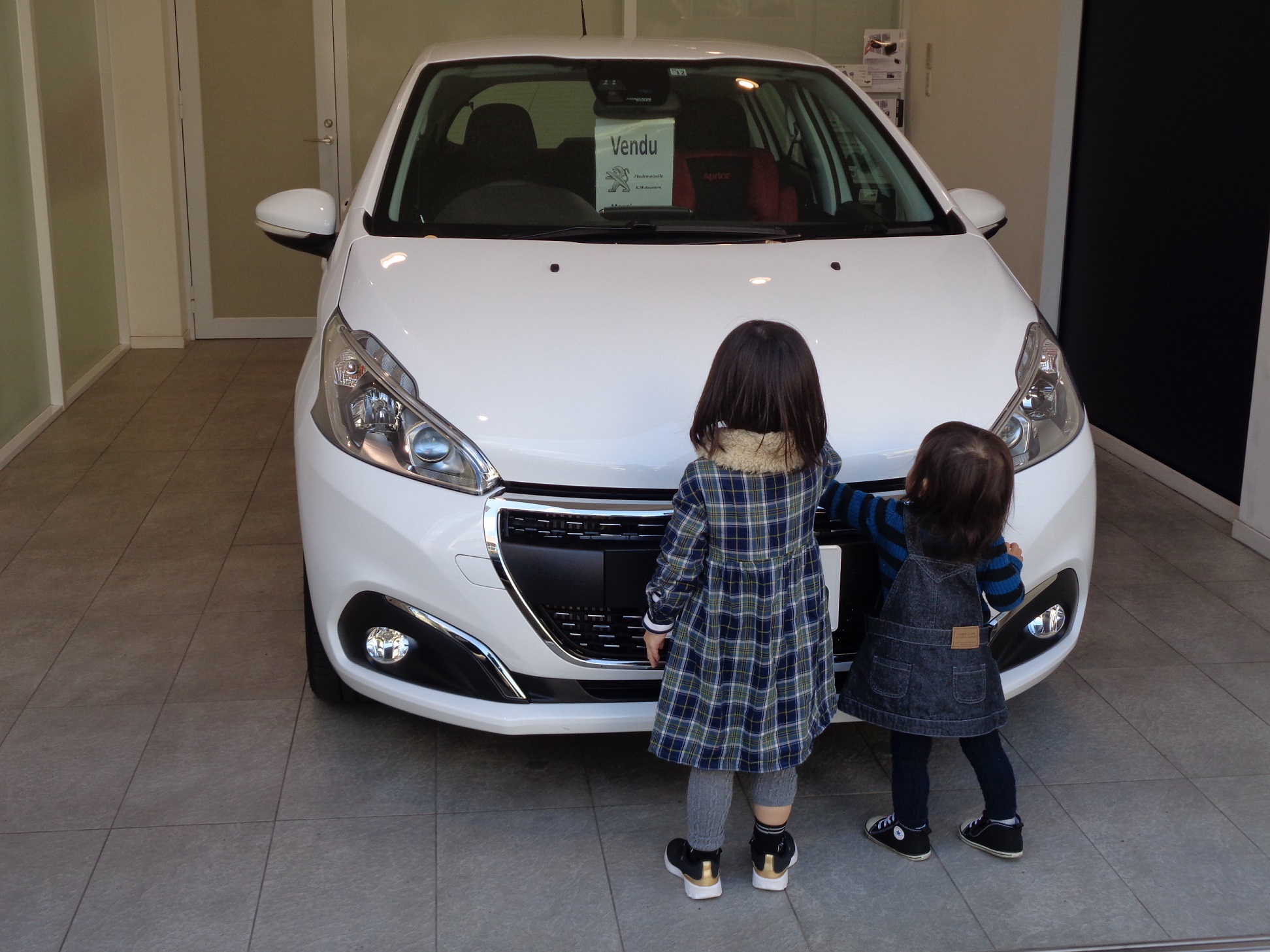 ライオン、２頭飼い。　周りも、ライオンまみれ。