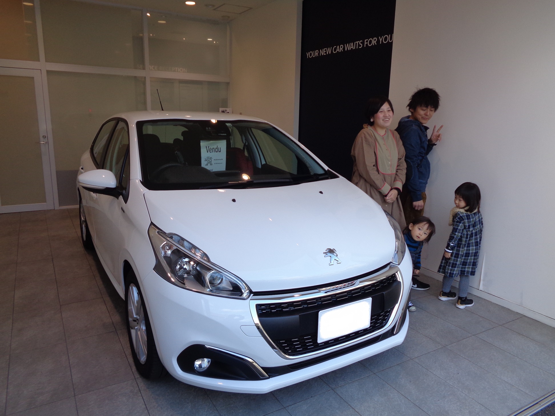 ライオン、２頭飼い。　周りも、ライオンまみれ。