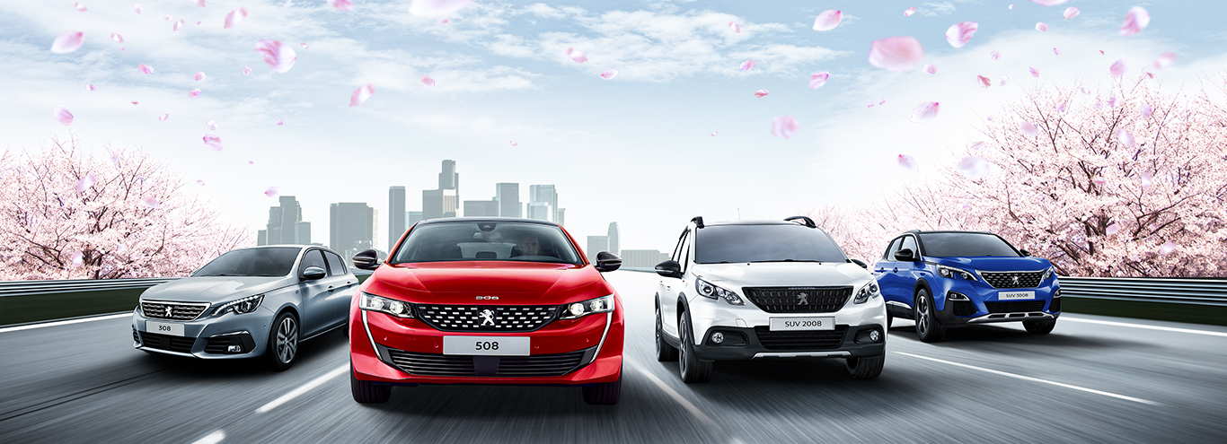 SPRING DRIVE FAIR今週末まで！！