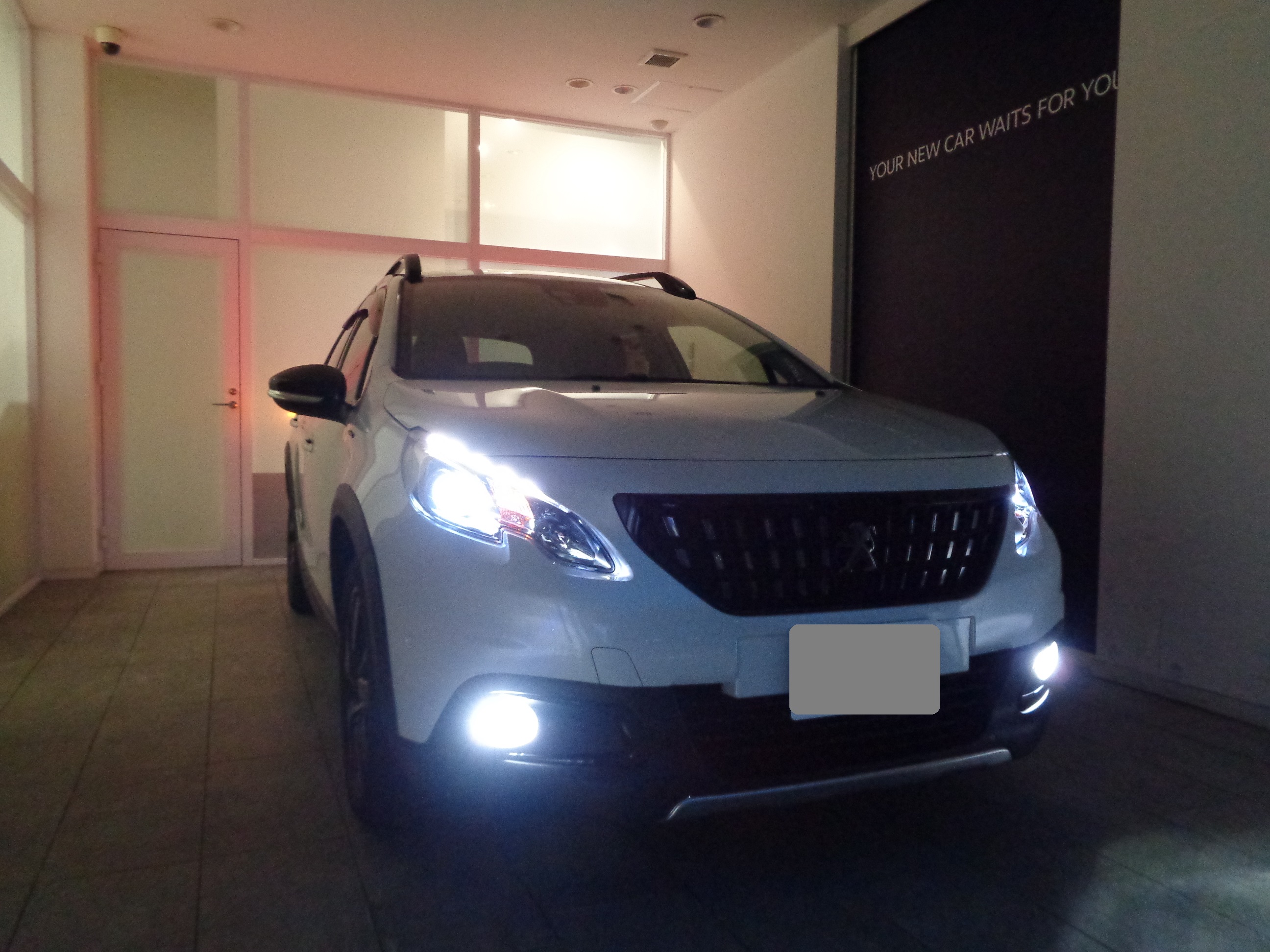 フォーカルフォーカル、ルルルルル♪　2008ご納車♪♪