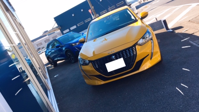 新色ファロ・イエローご覧いただけます！