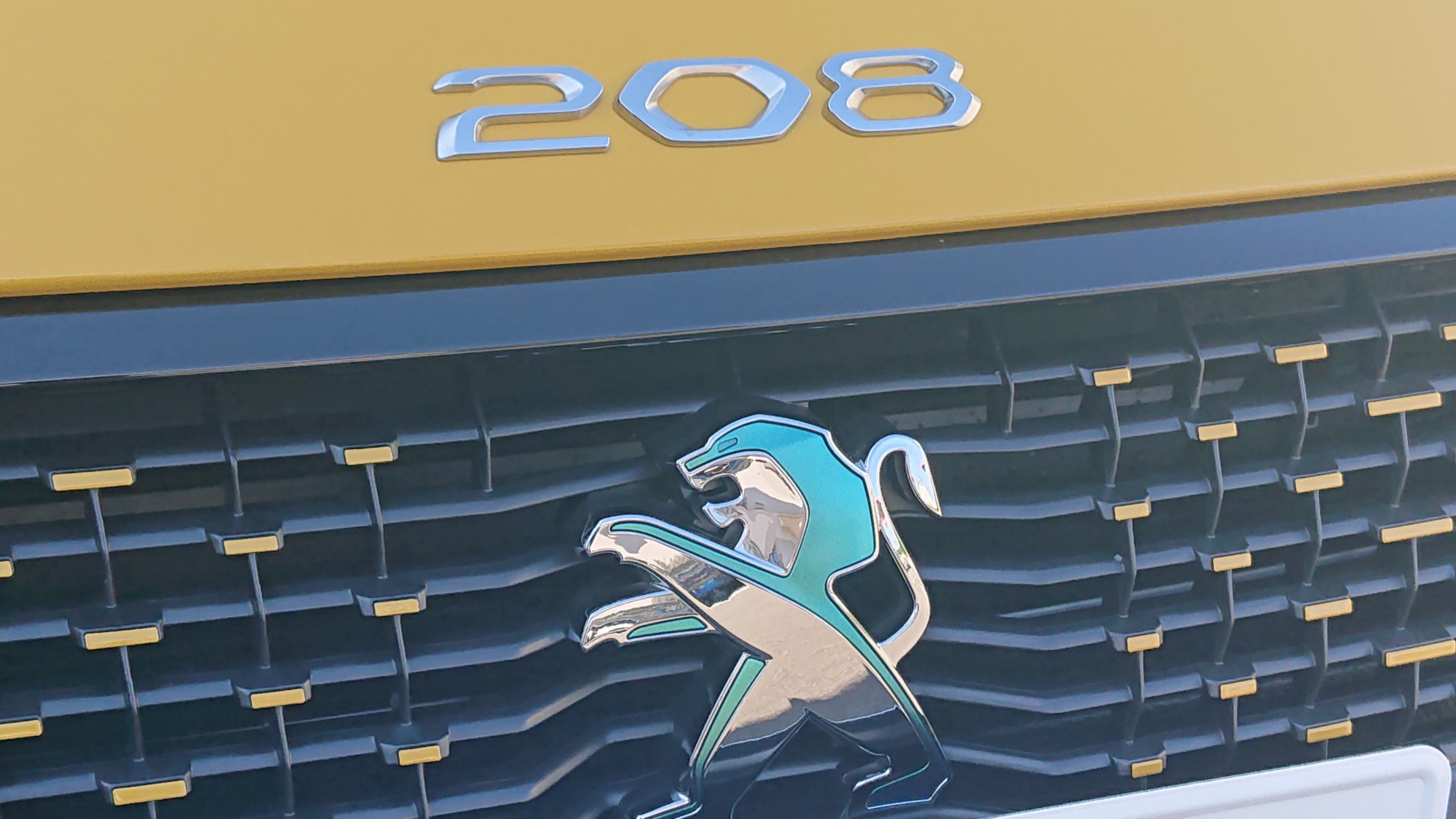 エレキな時代のエレキ２０８、ご納車♪♪