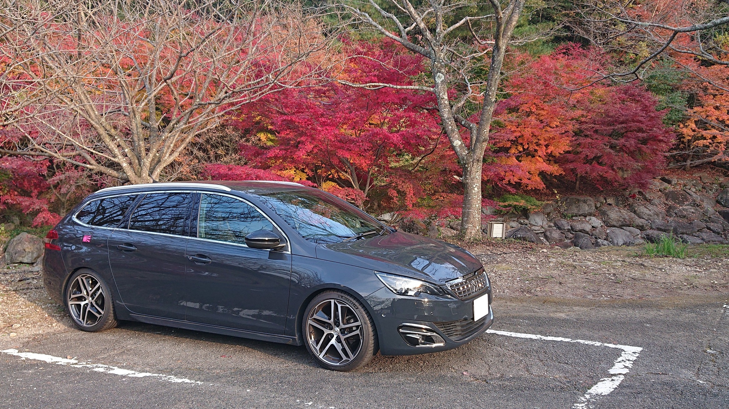 紅葉シーズンにも乗り遅れ...。