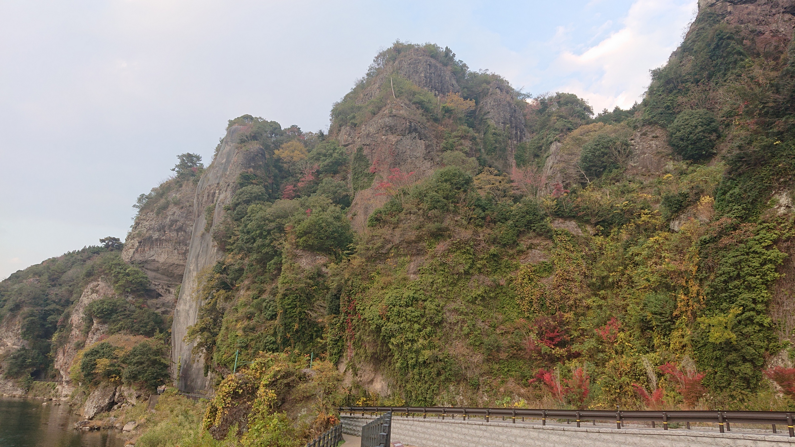 紅葉シーズンにも乗り遅れ...。