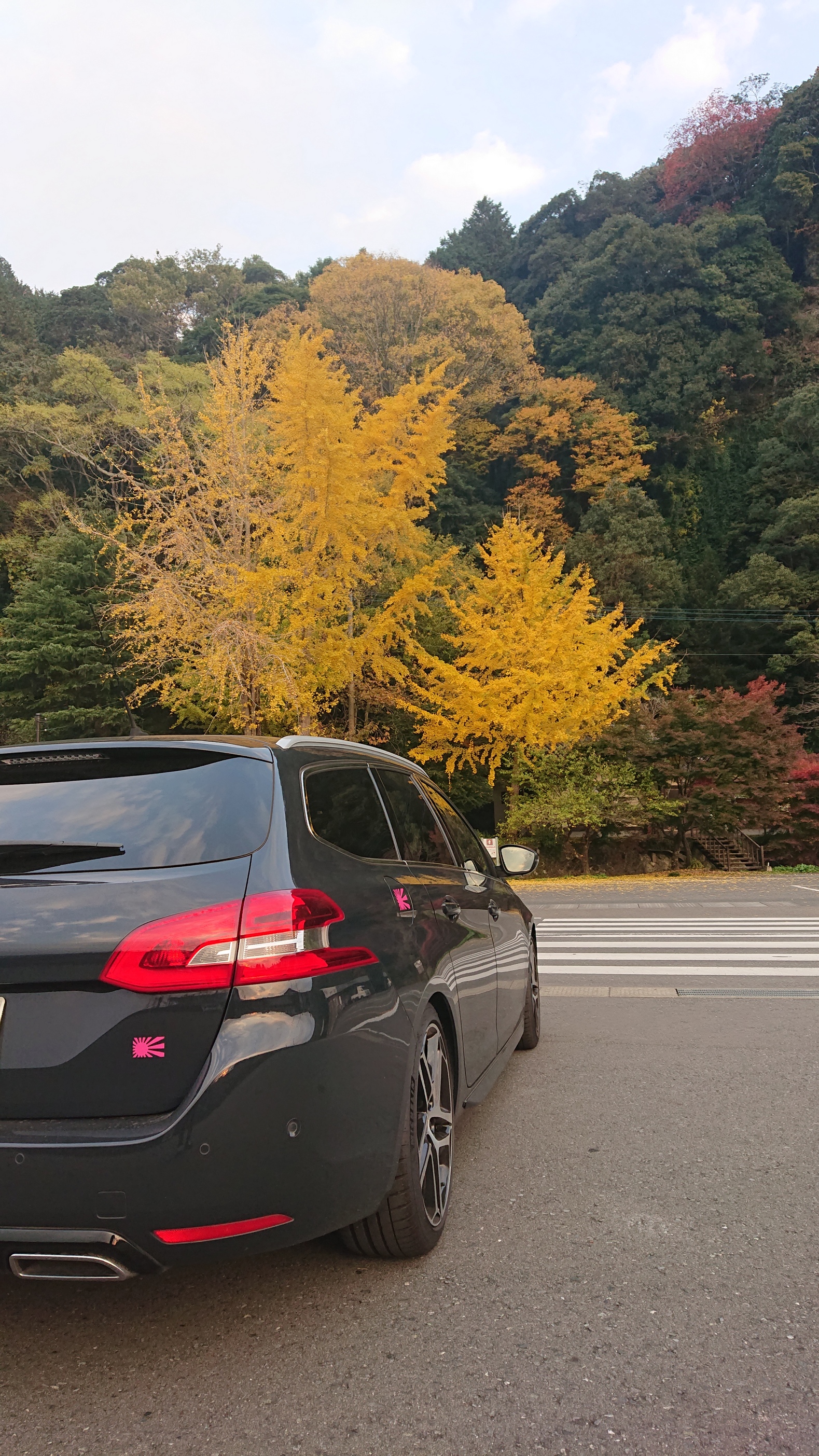 紅葉シーズンにも乗り遅れ...。