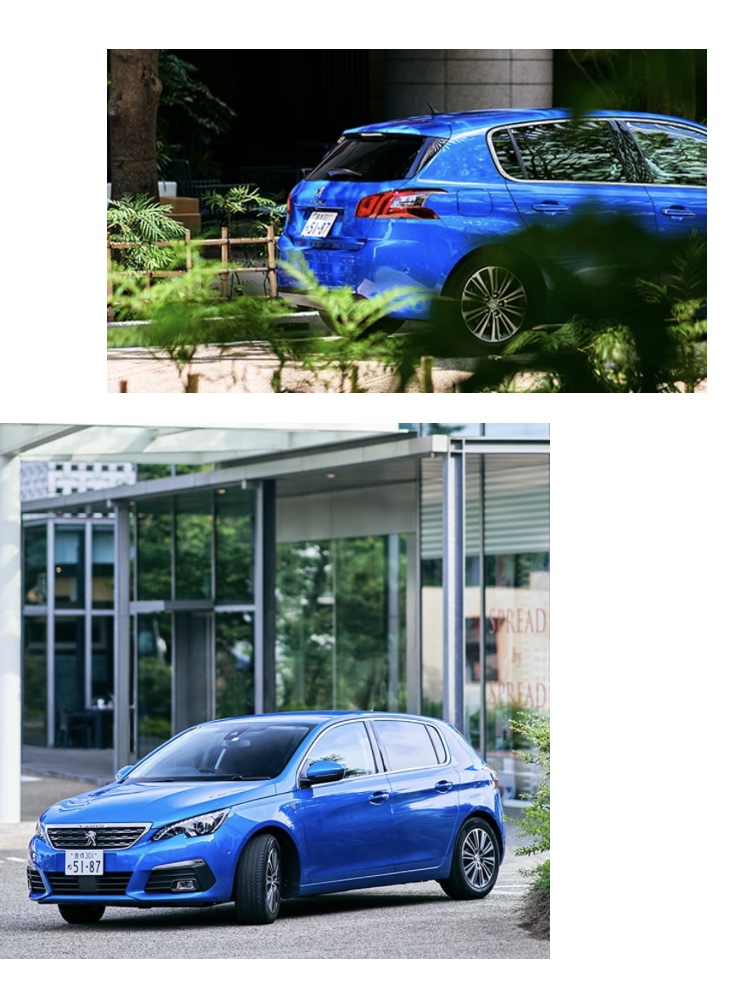 期間限定の特別なオファー