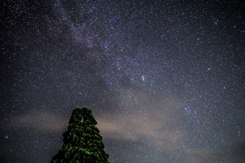 秋をすっ飛ばして冬が来た