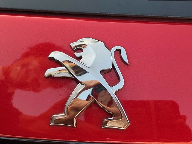 ガソリン車と電気自動車の違い　（エクステリア）