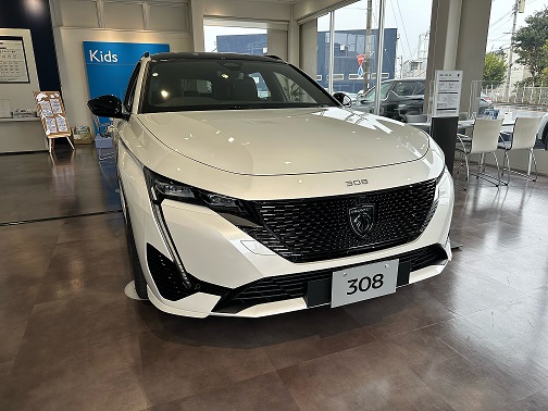 308SW GT  サンルーフについて　（インテリア）