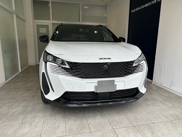 New 3008 GT BlueHDi Black Pack　限定車（エクステリア）
