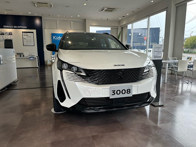 3008＆5008Black Packについて（エクステリア）