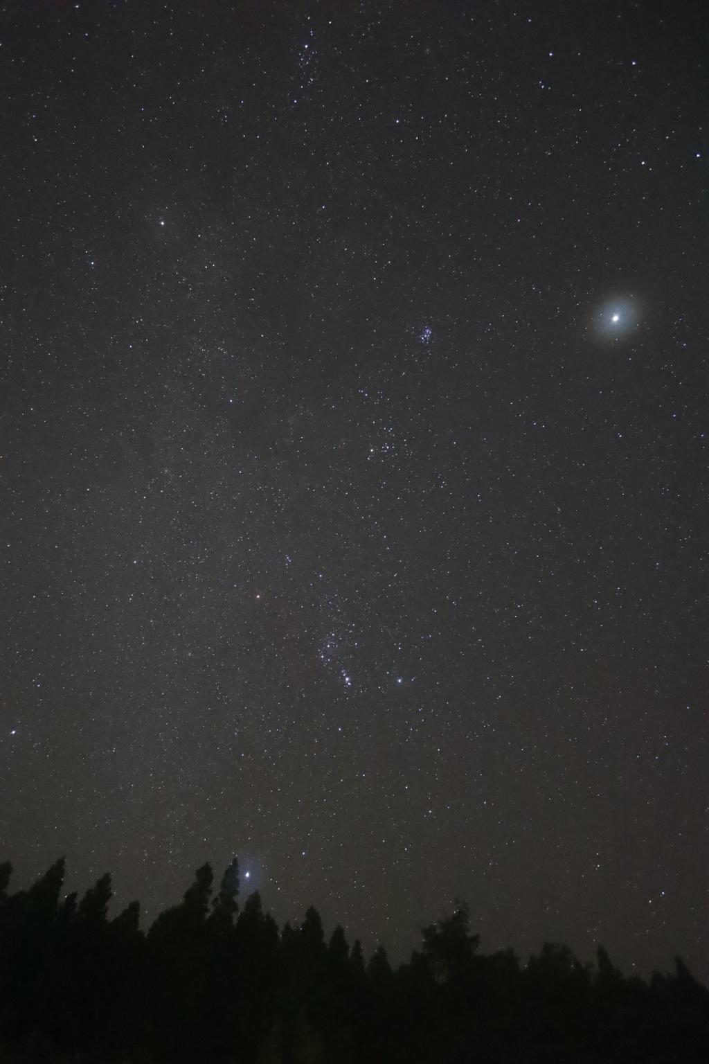良い気候になって来ました。